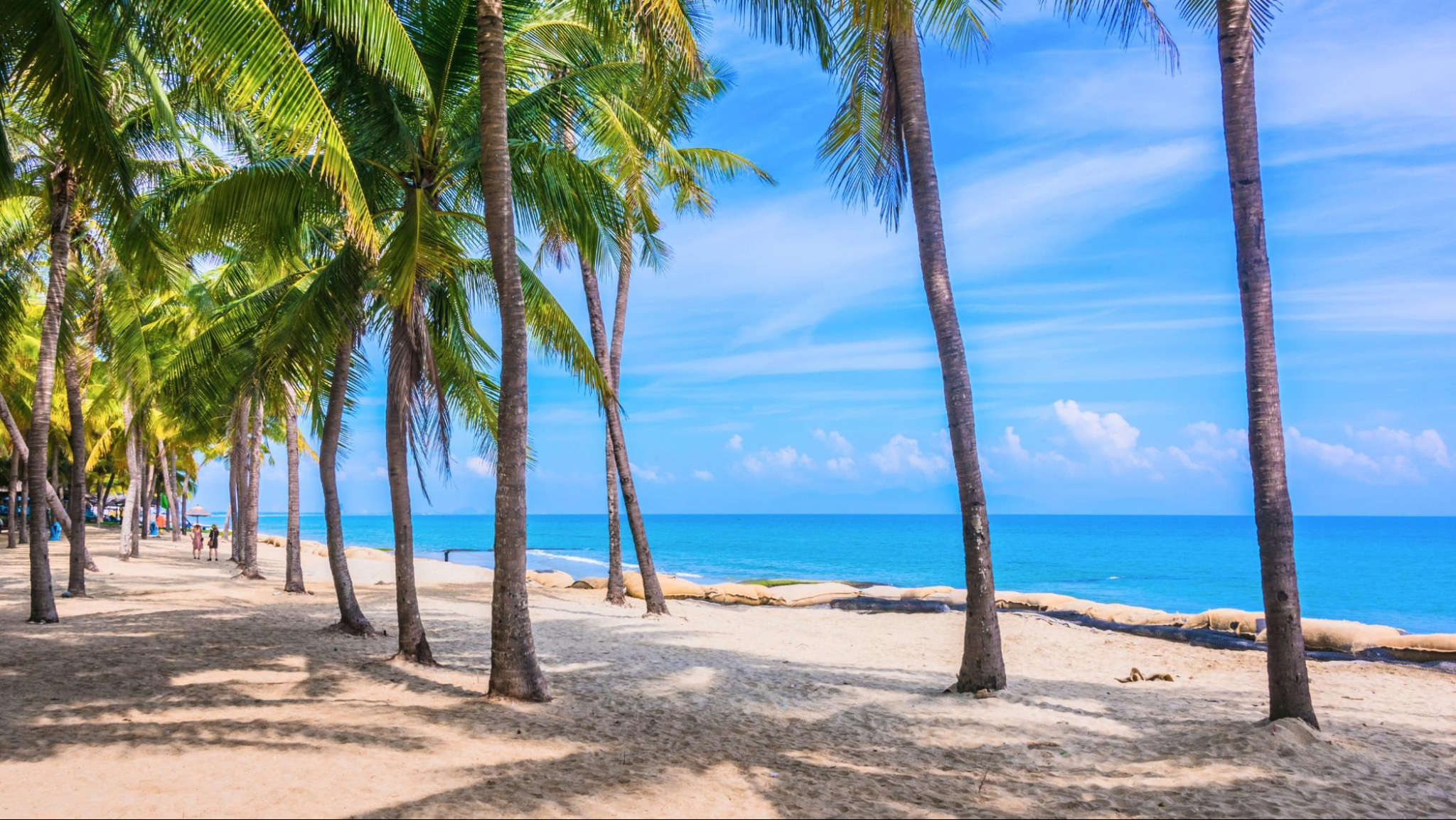 Cua Dai Beach blends serenity and beauty with soft sands and clear waters